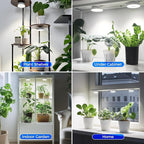 Barrina Orbgrow OG09 Puck LED Grow Light, 5000K 9W (135 Watt Equiv), Plant Lights for Indoor Plants Full Spectrum, Magnetic & Linkable, Small Grow lamp, Perfect for Plant Shelf, 1 Pack