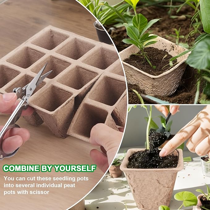 240 Cells Seed Starter Tray Kit, Biodegradable Peat Pots for Seedlings Trays, Plant Starter Seed Germination Kit with 40 Labels and 2 Transplant Tools (20, 240 Cells)