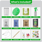 Dan&Darci Light-Up Terrarium Kit for Kids - STEM Science Kit - Educational DIY Toy for Boys & Girls - Birthday Gift - Craft Project Idea for Ages 6 7 8 9 10 11 12 Year Old - Craft for Boys
