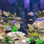 Moonorange Reptile Artificial Plants, Terrarium Plants Decorations Supplies, Aquarium Fish Tank Plant, Amphibian Habitat Hideout Tank Accessories(M Set-4pcs/A)