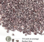 FANTIAN 5 lbs Succulent and Cactus Pebbles for Indoor Plants, 3/8 Inch Pea Gravel Decorative Red River Rocks for Plants, Vases, Terrarium, Aquarium, Potted Top Dressing and Outdoor Landscaping Stones
