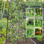 Heavy Duty 50"x17" Adjustable A-Frame Trellis for Climbing Plants – Rust-Proof Metal Garden Trellis with Dense Grid Design, Perfect for Raised Beds, Tomatoes, Cucumbers & Outdoor Vines (Black, 2 Pcs)