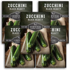 Survival Garden Seeds - Black Beauty Zucchini Seed for Planting - 5 Packs with Instructions to Plant & Grow Dark Green Summer Squash Plants in Your Home Vegetable Garden - Non-GMO Heirloom Variety