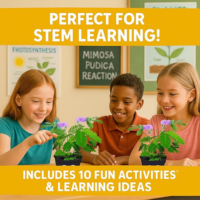 TickleMe Plant Seeds (2 Pack) – Grow the Touch-Sensitive Plant that Closes When Touched – Fun Easter Basket Stuffer – Easy Indoor Science Activity for Kids & Adults