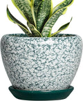 Ceramic Plant Pot - 6 Inch Planters for Indoor Plants, Round Succulent Pots with Drainage Hole and Saucer, Modern Decorative Plant Pots, Bathroom Decor, House Warming Gifts, Crackle Green