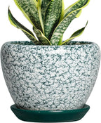 Ceramic Plant Pot - 6 Inch Planters for Indoor Plants, Round Succulent Pots with Drainage Hole and Saucer, Modern Decorative Plant Pots, Bathroom Decor, House Warming Gifts, Crackle Green