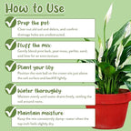 Soil Sunrise Peace Lily Potting Soil Mix (8 Quarts) for Planting, Growing, or Repotting Peace Lily Plants