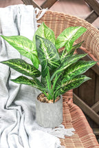 Der Rose 2 Pack Fake Plants Artificial Potted Faux Plants Indoor for Office Desk Home Farmhouse Decor