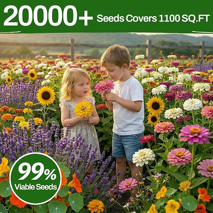 10 Varieties Flower Seeds in Individual Packs, 66,600+ Non-GMO Seeds Indoor Outdoor, Includes Zinnia Lavender Sunflower Marigold Cosmos Nasturtium Snapdragon Borage Yarrow Calendula, Wildflower Seeds