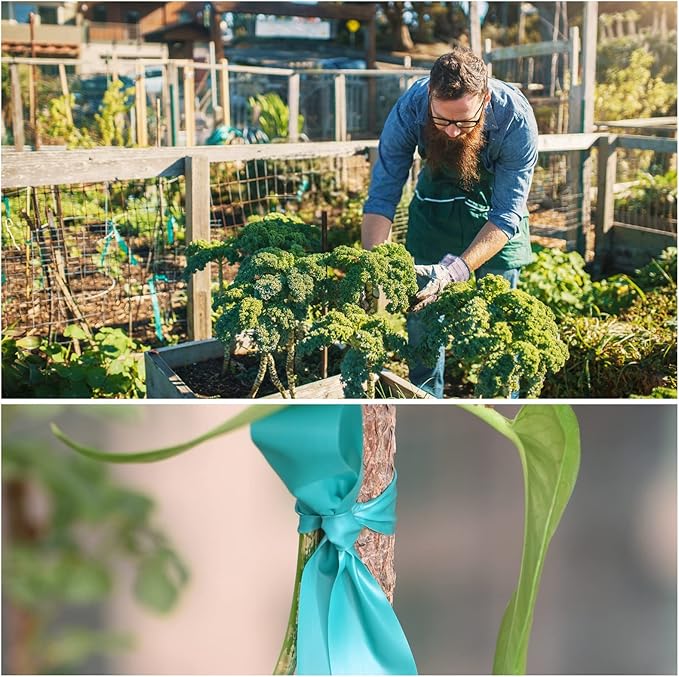 TELENT OUTDOORS 4 Rolls Stretch Tie Tape, 1” Wide 200FT Reusable Garden Plant Ties Green Tapes for Plants, Thick Garden Vinyl Stake Ribbon for Branches Flowers Tomatoes Indoor Outdoor Greenhouse