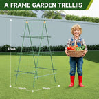 HIRALIY A Frame Cucumber Trellis for Climbing Plants Outdoor, 57" x 31" Heavy Duty Metal Garden Trellis, Rustproof Plant Support for Tomato, Grape, Bean, Raised Bed and Vegetable Gardens, Green