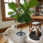 6 Pcs Plant Pot Covers, 15.7 Inch Cuttable Plant Pot Soil Covers Plant-Pot Grids, Indoor Plant-Pot Soil Guard Protector from Animals for Indoor and Outdoor Plants