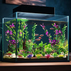 Promising Large Aquarium Decor Plastic Plants-Colorful Water Grass for Fish Tank, Green Fish Tank Artificial Plants Kit -Fish Tank Care Water Plants Accessories（22pcs）
