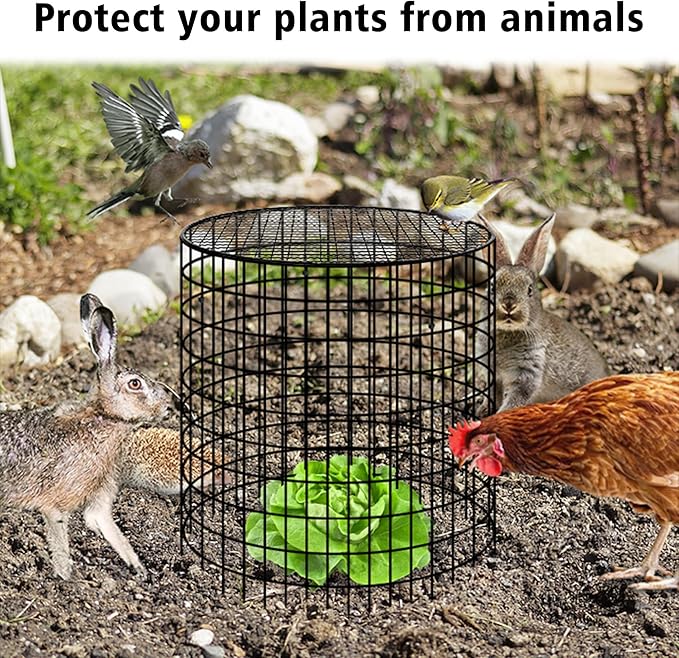 Hi Sasara 3 Sets Wire Plant Protectors Cage,11.8" Dia x 11.8" H,Metal Plant Protector Cage with Round Lids Plant Protector for Keep Rabbits Squirrels Animals Out,Garden Plant Protector with Staples