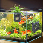 Aquarium Plant Holder 4 PCS Hanging Aquatic Plant Pot with 24 Hooks and 20 Suction Cups for Fish Tank Aquarium Planter and Aquascape Decorations (Black)