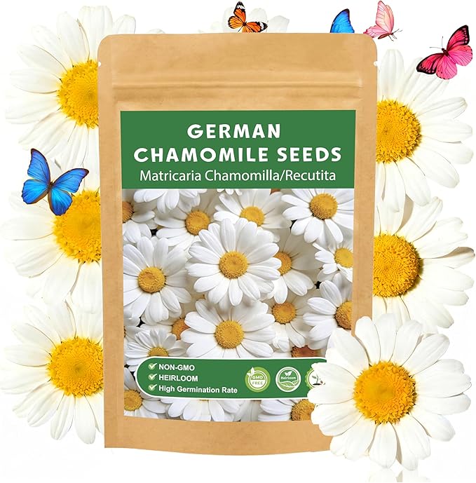 LUOJIBIE German Chamomile Seeds, 60,000+ Chamomile Flower Seeds Bulk for Planting Outdoor Indoor Garden, Heirloom & Non-GMO Matricaria Chamomilla/Recutita Herb Seeds, Easy to Grow