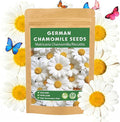 LUOJIBIE German Chamomile Seeds, 60,000+ Chamomile Flower Seeds Bulk for Planting Outdoor Indoor Garden, Heirloom & Non-GMO Matricaria Chamomilla/Recutita Herb Seeds, Easy to Grow