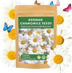 LUOJIBIE German Chamomile Seeds, 60,000+ Chamomile Flower Seeds Bulk for Planting Outdoor Indoor Garden, Heirloom & Non-GMO Matricaria Chamomilla/Recutita Herb Seeds, Easy to Grow