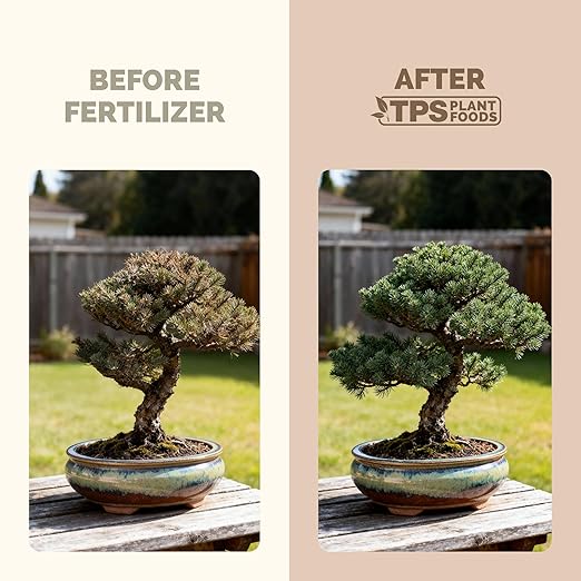 Bonsai Fertilizer – Liquid Plant Food for Healthy Growth, Vibrant Foliage & Stronger Root Development, 32 oz