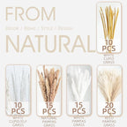 70PCS Natural Dried Pampas Grass Boho Home Decor Bouquet Phragmites Dried Flowers Bouquet for Wedding Floral Arrangements Living Room Decorations (70PCS)