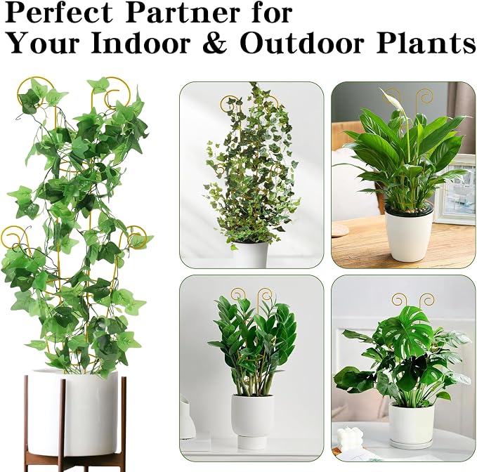ZOUTOG Trellis for Climbing Plants Indoor 4 Pack 30 Inch,Rustproof Metal Garden Trellis for Potted Plants,Houseplant Support Indoor Outdoor for Ivy Pothos Monstera Hoya Flower Vines(Golden Round)