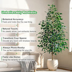 Bailikang 7FT Artificial Ficus Trees Indoor Faux Trees Indoor Fake Floor Plants Tall Artificial Tree with White Pot Faux Tree Fake Indoor Tree Silk Plants Artificial Trees for Home Decor Indoor
