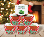 BUZZY Seeds Holiday Candy Cane Mini Terracotta Grow Pots, 6-Pack Peppermint Seeds, Indoor Plant Starter Kit, Stocking Stuffers, Party Favors