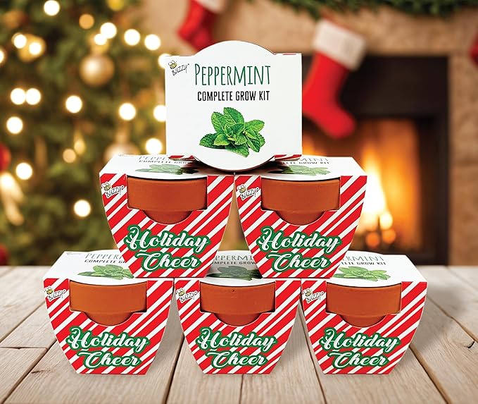 BUZZY Seeds Holiday Candy Cane Mini Terracotta Grow Pots, 6-Pack Peppermint Seeds, Indoor Plant Starter Kit, Stocking Stuffers, Party Favors