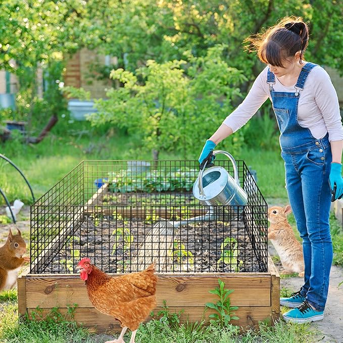 U0U 15PCS 5 Pack Plant Protector from Animals, Metal Mesh to Keep Animals Out,Plant Cages for Outdoor Plants,Plant Guards from Animals Rabbits Chicken Squirrels (11.8 x 15.7inch-5 Pack)