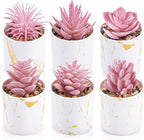 Der Rose 6 Pack Fake Plants Succulents Plants Artificial for Bathroom Home Office Desk Accessories for Women