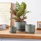 Green Ceramic Plant Pots Set of 3, 4.3+5.5+6.7 Inch Indoor Flower Pots with Drainage Hole & Saucer & Hole Mesh Pads, Striped Decorative Planter Set for Indoor Plants, Gardening Pots & Accessories