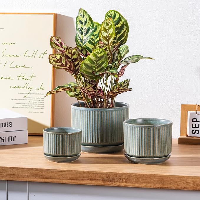 Green Ceramic Plant Pots Set of 3, 4.3+5.5+6.7 Inch Indoor Flower Pots with Drainage Hole & Saucer & Hole Mesh Pads, Striped Decorative Planter Set for Indoor Plants, Gardening Pots & Accessories