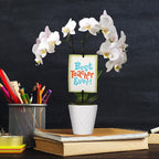 Green Circle Growers 3" Petite White Orchid in Evi White Planter, Live Plant – Best Teacher Ever