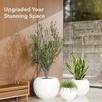 9.7" H x 12" D Premium Globo Fiberstone Round Planter with Drainage Hole, Smooth Finishes, Weather Resistant for Indoor and Outdoor Use, Included 2 Extra Coco Mats (White, 7.8" Pot Opening)