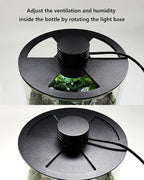 Desktop Glass Terrarium with Grow Light (7.5" H x 5.9" D) - for Succulents, Moss, Mini Gardens, Betta Fish Tanks, Mushroom Cultivation | Indoor Plant Growth | Office/Home Decor | Plant Lover Gifts