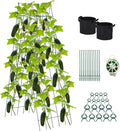 Foldable Cucumber Trellis 64" H x 20" W, A-Frame Garden Trellis for Raised Bed, Outdoor Climbing Plant Support with Twist Ties & Plant Bags for Climbing Plants Outdoor