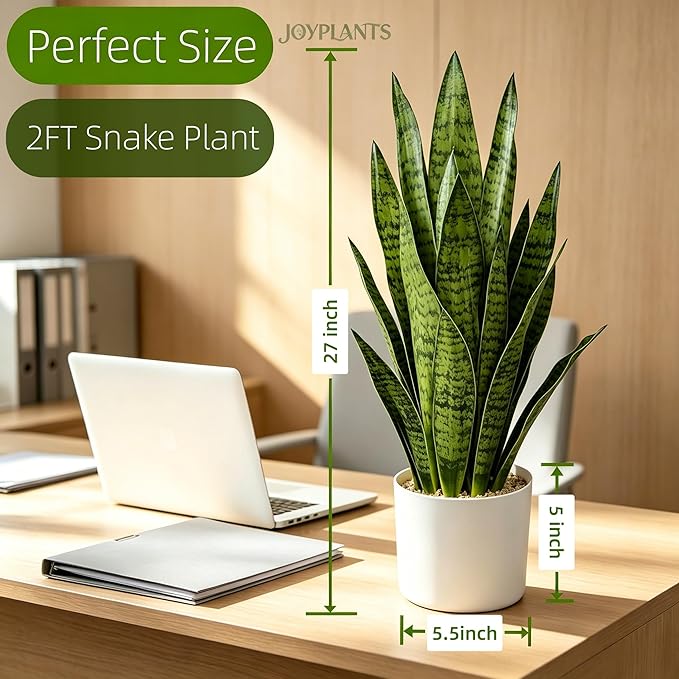 Fake Snake Plant, 27in Artificial Plant with White Pot Realistic Leaves, Low Maintenance Potted Plant for Indoor Decor, No Watering Needed, Perfect for Home, Office & Pet Areas