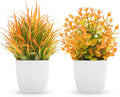 Der Rose 2 Pack Small Fall Fake Plants Mini Artificial Potted Plants Fall Table Office Decor for Home Desk Bathroom Decoration