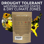 Drought Tolerant Wildflowers Mix – Bulk Quarter Pound Bag – Over 30,000 Open Pollinated Non-GMO Seeds – 21 Different Dryland Species