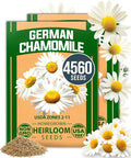 HOME GROWN German Chamomile Seed Pack – 4,560 Heirloom Seeds for Planting for Sustainable Gardens and Soothing Medicinal Herbal Teas (Matricaria chamomilla)