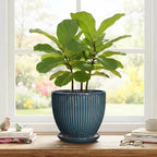 Ceramic Plant Pots, 8 Inch Planters for Indoor Plants, Decorative Flower Pots with Drainage Hole and Saucer, Round Planter, Indoor Flower Pot, Modern Home Decor, Plant Lover Gifts, Retro Blue