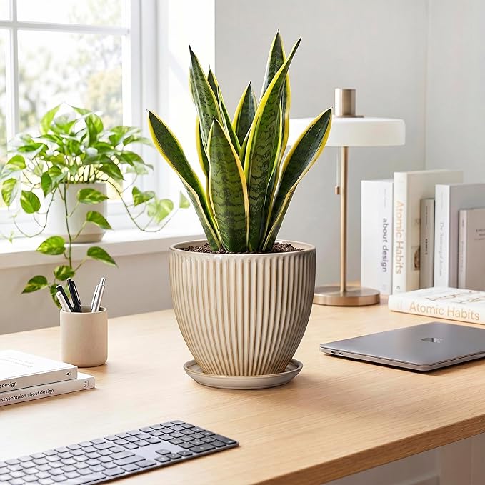 8 Inch Pots for Plants, Ceramic Planter with Drainage Hole and Saucer, Decorative Indoor Plant Pots for Snake Plants, Modern Round Flower Pot, Office House Decor, Gardening Gifts, Beige