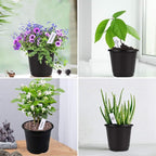 Augshy 50 Pcs 0.5 Gallon Black Plastic Plant Nursery Pots 6 Inches Seed Starting Pots Containers with 50 Labels