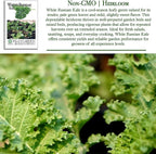 White Russian Kale Seeds (Brassica Napus) – 1000+ Heirloom Non GMO Seeds by Isla’s Garden Seeds, Tender Mild Leaves, Cold Hardy Cool-Season Green, Easy Home Garden Variety, Small & Fun Gift Idea