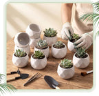 24 Pack 2.5 Inch Mini Succulent Plant Ceramic Pot with Drainage Hole, Small Pineapple Clay Garden Planter for Succulents, Cactus, DIY Easter Spring Craft Activity(White,Fashion)