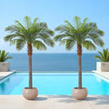 6FT Artificial Coconut Palm Set of 2, Faux Coconut Silk Palm Tree, Tropical Fake Trees for Indoor Outdoor, Large Sago Palm Plant for Home Office Garden Patio Poolside Backyard