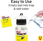 Terro T380 Outdoor Reusable Fly Magnet Fly Trap - Poison Free Trap with Bait (Pack of 2)