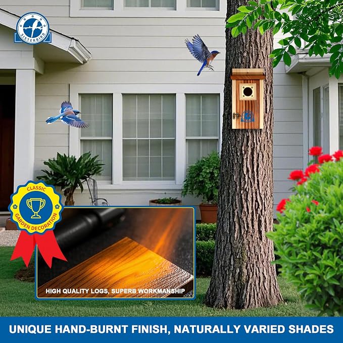 SISTERBIRD Pack of 2 Premium Bluebird Houses for Outside, Assembled Bird House Gift, Garden Decoration Bluebird House, Copper Predator Guard, Easy to Clean Bird Nesting