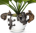 Weysat 4 Pcs Vintage Resin Frog Tortoise Snail Gecko Planter Pot Hugger Figurine Flower Pot Animal Climbing Statue Vase Miniature Fairy Garden Terrarium Decor Patio Lawn Yard Outdoor Fence Hanger