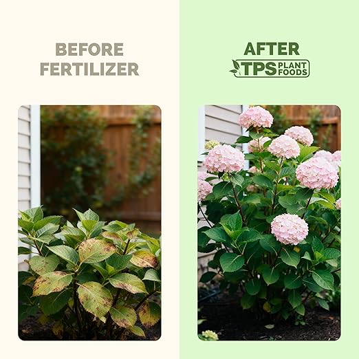 Hydrangea Fertilizer – Liquid Plant Food for Bigger Blooms, Rich Flower Color & Stronger Root Development, 32 oz